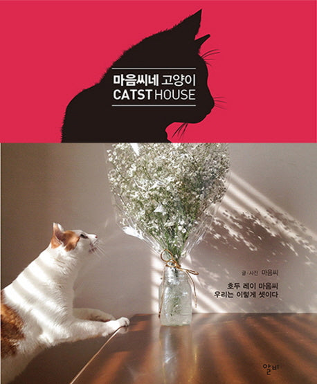 마음씨네 고양이