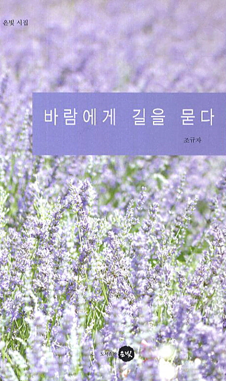 바람에게 길을 묻다(은빛 시집)
