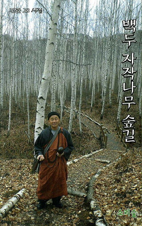 백두 자작나무 숲길