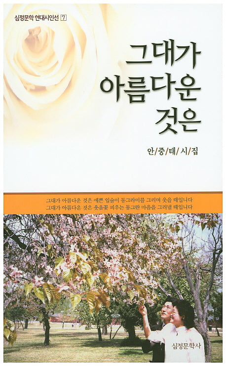 그대가 아름다운 것은(심정문학 현대시인선 7)