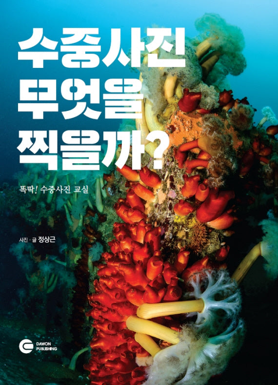 수중사진 무엇을 찍을까