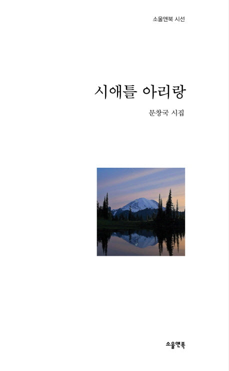 시애틀 아리랑(소울앤북 시선)