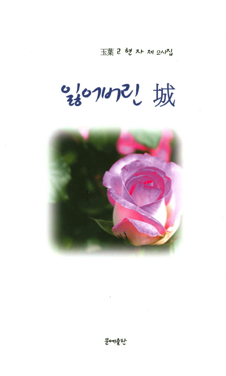 잃어버린 성(문예시선 4)