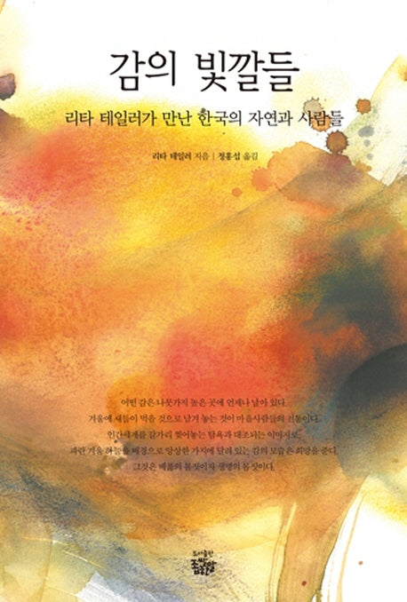 감의 빛깔들