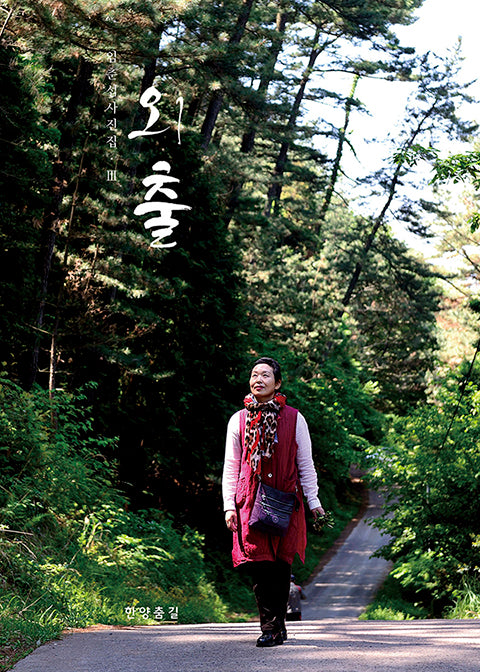 외출(한국의 전통예술 사진 1)(양장본 Hardcover)