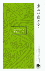 바람의 상처를 당기다(시와정신시인선 18)