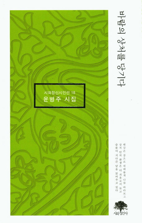 바람의 상처를 당기다(시와정신시인선 18)