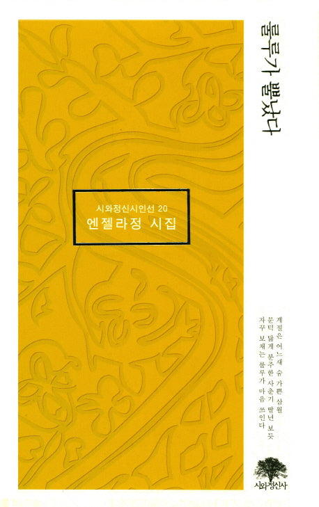 룰루가 뿔났다(시와정신시인선 20)