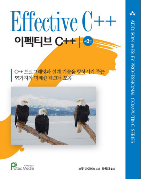 Effective C++(3판)