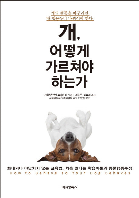 개, 어떻게 가르쳐야 하는가