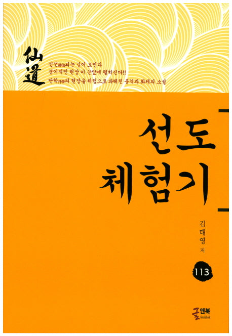 선도체험기 113