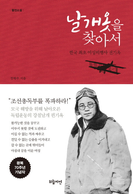 날개옷을 찾아서(양장본 Hardcover)