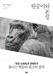 원숭이와 본질