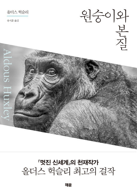 원숭이와 본질