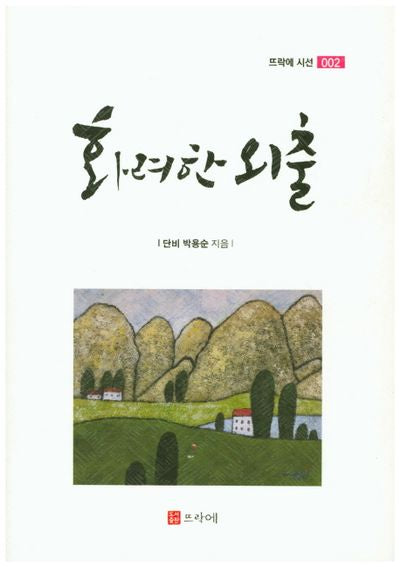 화려한 외출(뜨락에 시선 2)(양장본 Hardcover)