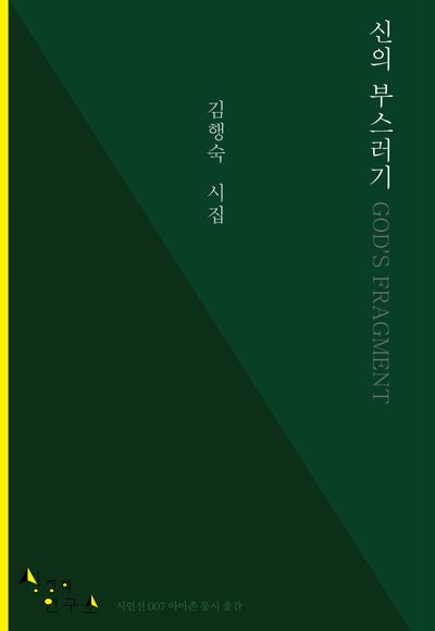 신의 부스러기(상징학연구소 시인선 7)