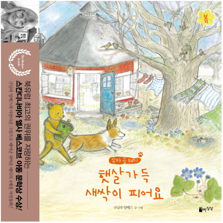햇살가득 새싹이 피어요(꼬마 곰 테디)(양장본 HardCover)