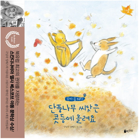 단풍나무 씨앗은 콧등에 올려요(꼬마 곰 테디)(양장본 Hardcover)