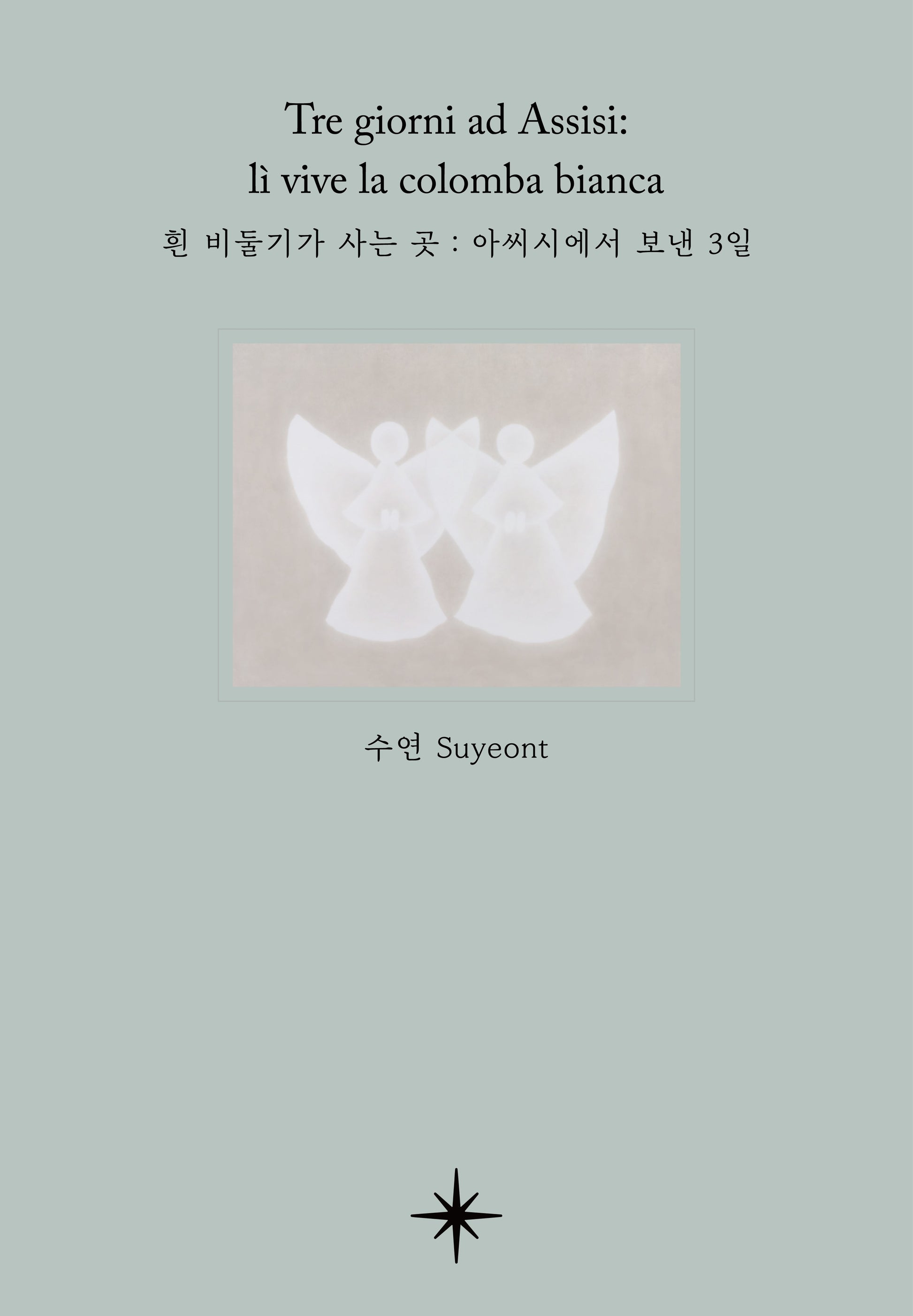 흰 비둘기가 사는 곳: 아씨시에서 보낸 3일(양장본 Hardcover)