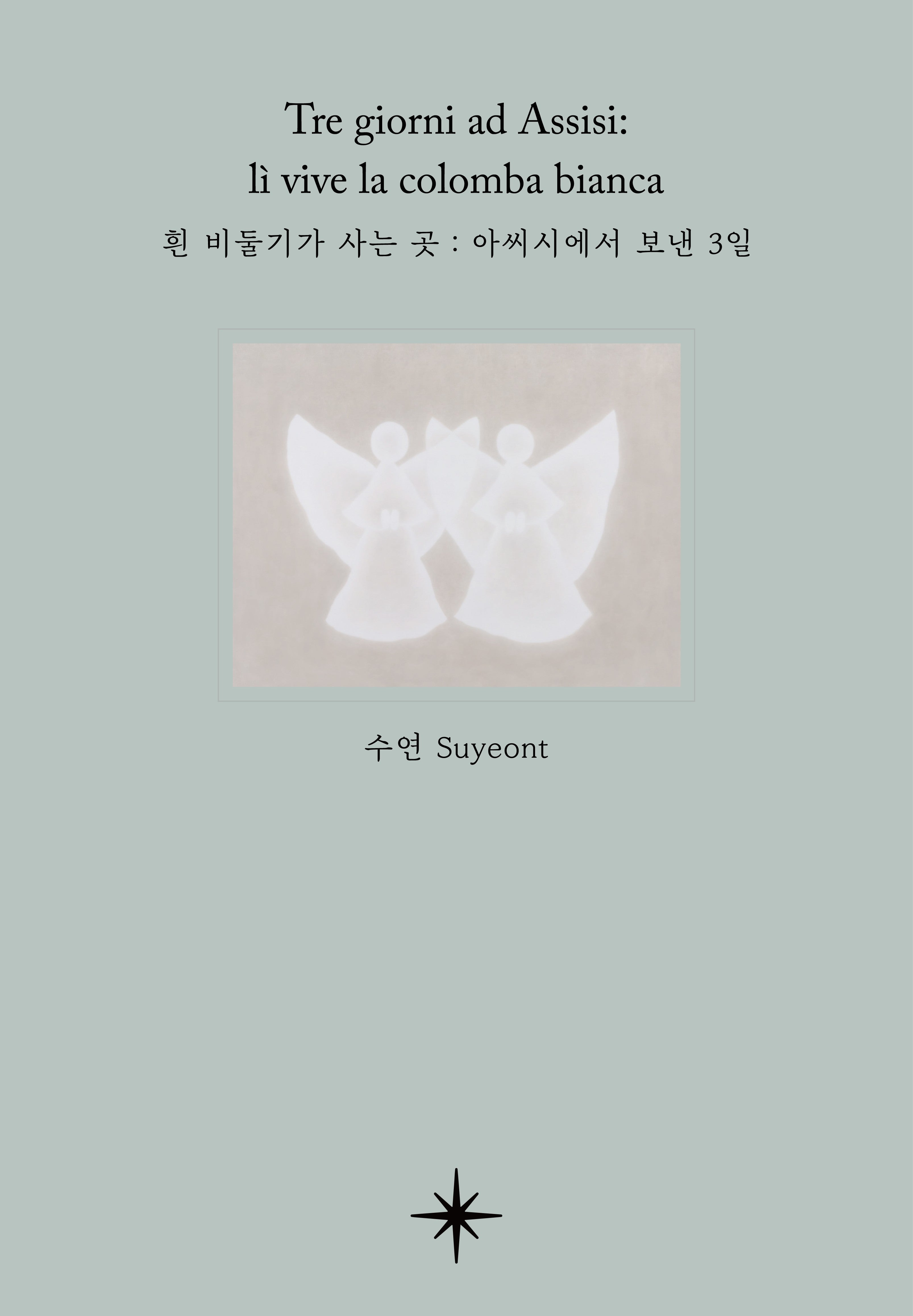 흰 비둘기가 사는 곳: 아씨시에서 보낸 3일(양장본 Hardcover)