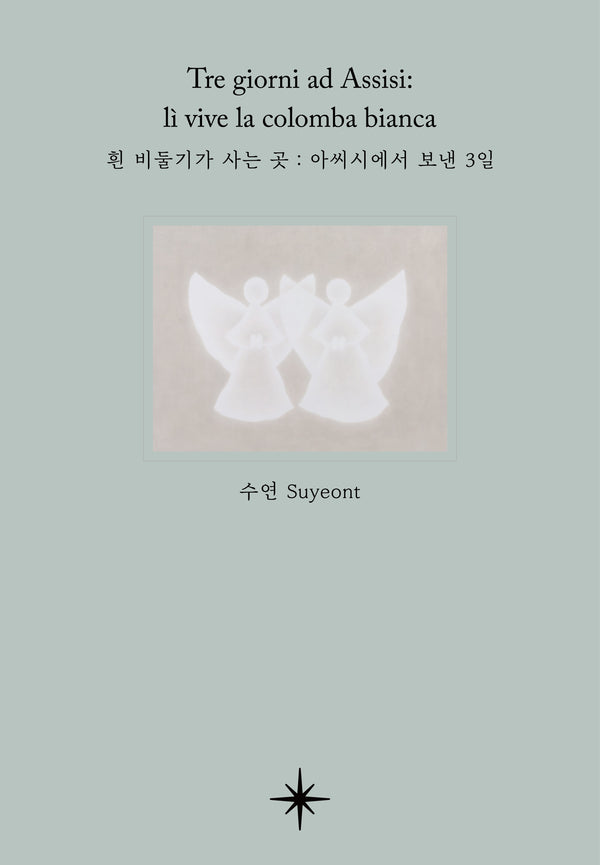 흰 비둘기가 사는 곳: 아씨시에서 보낸 3일(양장본 Hardcover)