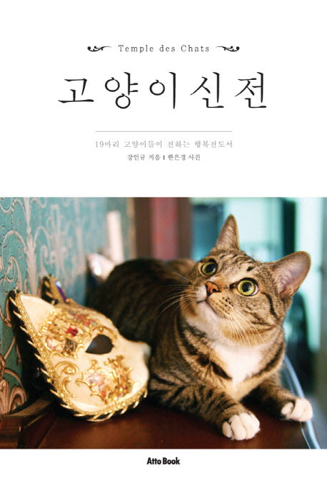 고양이신전