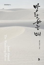 방랑하는 매(동방문학총서 3)