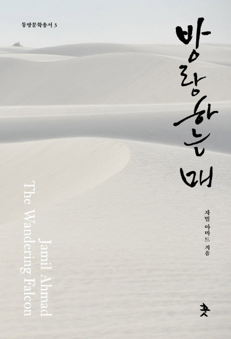 방랑하는 매(동방문학총서 3)