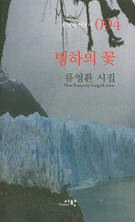 빙하의 꽃(한국의 서정시 94)