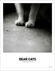 디어캣츠(Dear Cats) vol 1