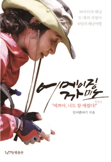 어메이징 까미노(개정판)