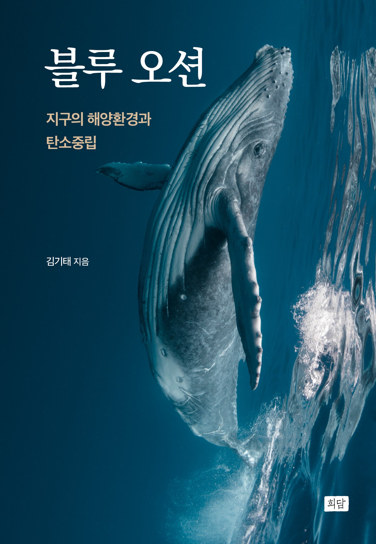 블루 오션