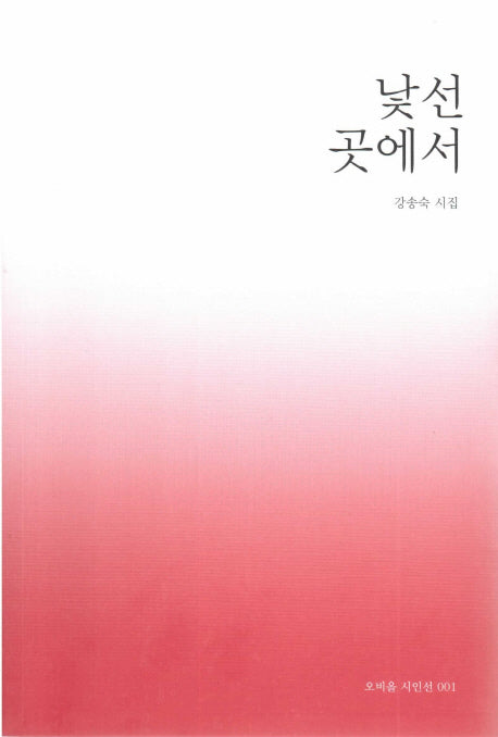 낯선곳에서(오비올 시인선 1)