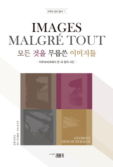 모든 것을 무릅쓴 이미지들(미학과 정치 총서 1)