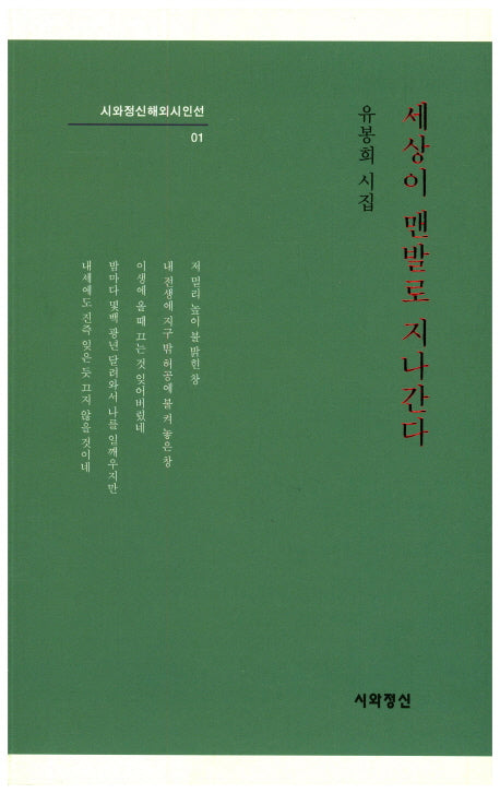 세상이 맨발로 지나간다(시와정신해외시인선 1)
