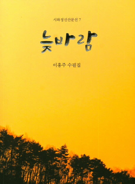 늦바람(시와정신산문선 7)