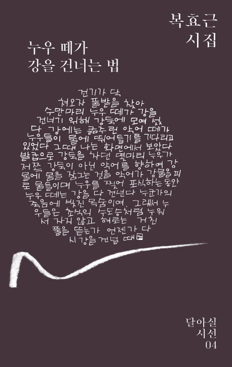 누우 떼가 강을 건너는 법(달아실시선 4)