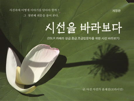 시선을 바라보다(개정판)