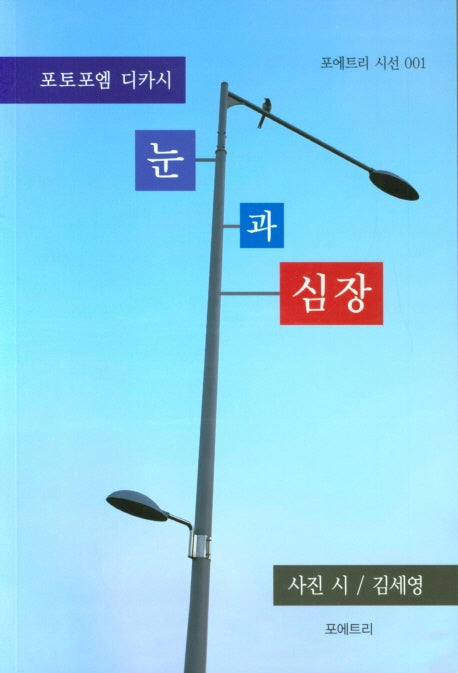 눈과 심장(포에트리 시선 1)
