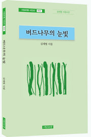 버드나무의 눈빛(시담포엠 시인선 4)
