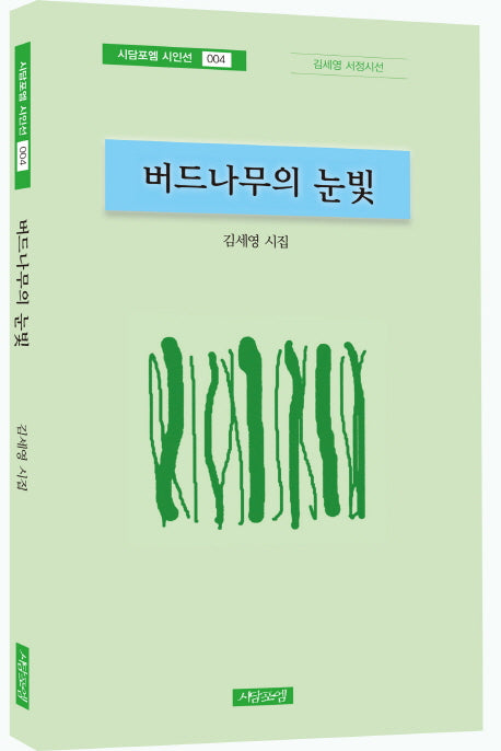 버드나무의 눈빛(시담포엠 시인선 4)
