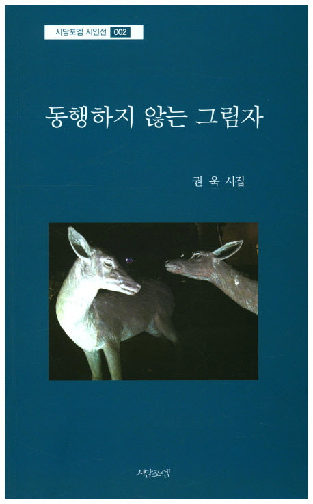 동행하지 않는 그림자(시담포엠 시인선 2)