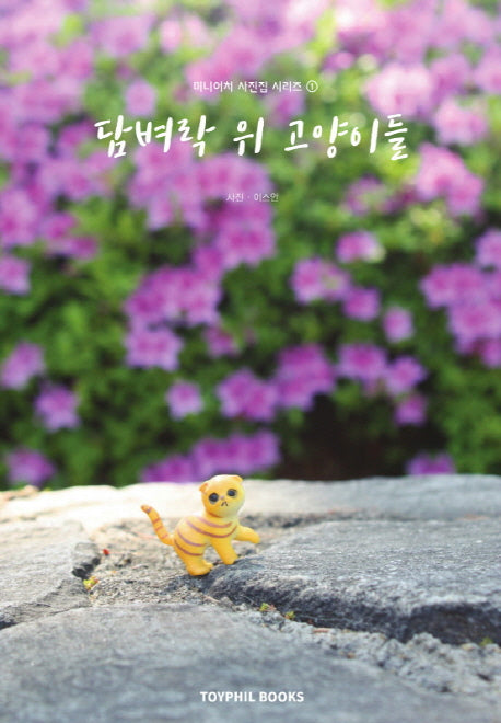 담벼락 위 고양이들(미니어처 사진집 시리즈 1)