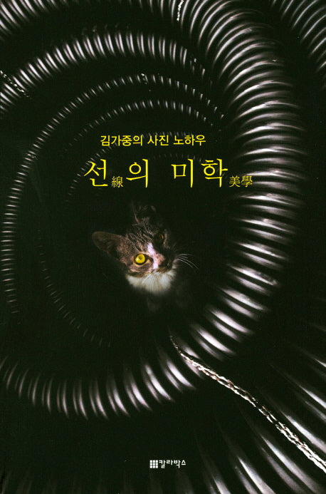 선의 미학