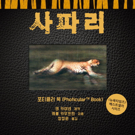 사파리(포티큘러 북 시리즈)(양장본 Hardcover)