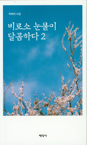 비로소 눈물이 달콤하다 2