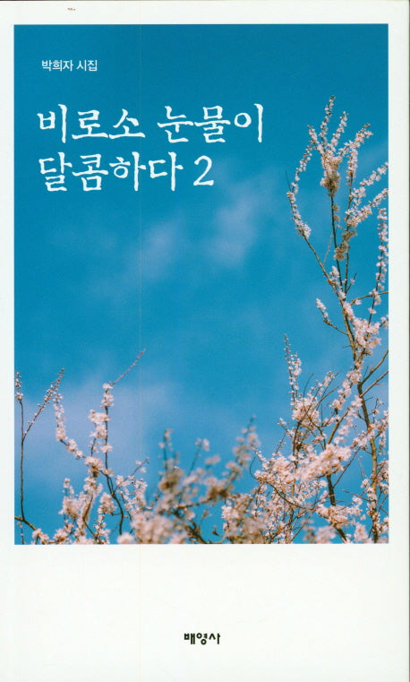 비로소 눈물이 달콤하다 2