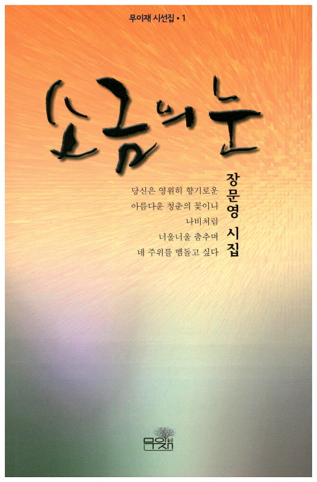 소금의 눈(무이재 시선집 1)