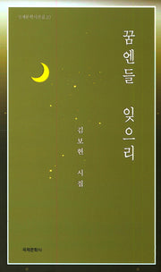 꿈엔들 잊으리(국제문학시선집 10)