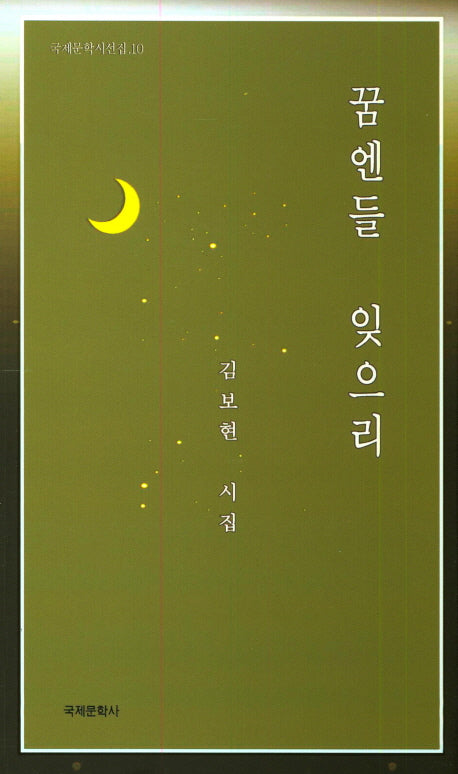 꿈엔들 잊으리(국제문학시선집 10)